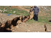 Bu görüntüleri ilk kez göreceksiniz