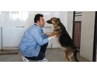 Depremin mağduru hayvanlar önce tedavi edildi, sonra sahiplendirildi