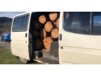 Ormanlık alandan aldığı ağaç parçalarını aracı ile taşırken yakalandı