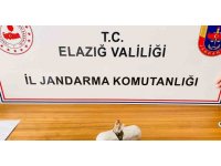 Jandarma ekipleri uyuşturucuya geçit vermiyor