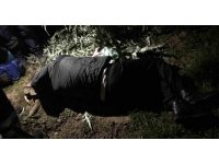 Yüksekten düşen alkollü şahıs ekipten özür diledi