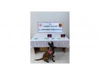 Çankırı’da uyuşturucu operasyonunda bir şahıs tutuklandı