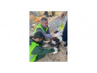 Adıyaman’da enkaz altında kalan 2 buzağı, 13’üncü günde sağ olarak çıkarıldı