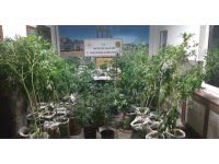 Antalya’da 27 kilogram esrar ele geçirildi