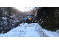 Doğu Karadeniz’de kar nedeniyle kapalı 110 köy yolu bulunuyor