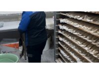 Altınova’da fırınlar denetlendi