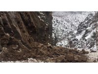 Artvin-Ardahan karayolunda bir heyelan daha