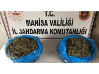 Manisa’da uyuşturucunun kökü kuruyacak