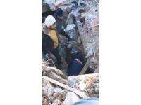 Enkaz altından çıkartılan 14 günlük buzağı koruma altına alındı