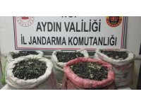 Çaldılar, yağ yapıp sattılar