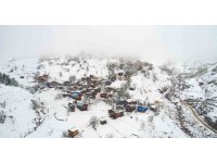 Artvin’de çığ altında kalan bir kişi kurtarıldı