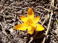 Akdağ’da kış ve bahar mevsimleri bir arada görüntülendi