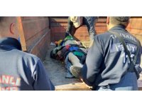 Tavşanlı’da kestiği ağacın altında kalan köylü ağır yaralandı