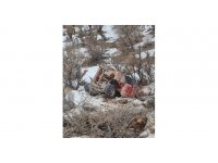 Siirt’te iş makinesi devrildi: 1 ölü