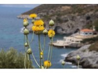 Kuşadası Belediyesi’nden ‘Doğal Botanik Parka’ koruma çemberi