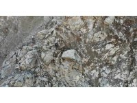 Artvin’de heyelan bölgesi için profesyonel dağcılar bölgede çalışma başlattı