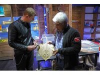 Deniz Biyoloji Müzesi’ndeki balıklar yenilenecek