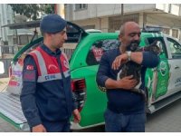 Binada mahsur kalan kediyi jandarma kurtardı