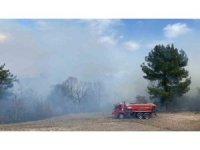 Osmaniye’de ormanlık alanda yangın çıktı