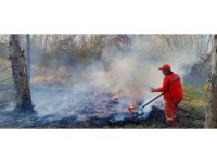 Ormanlık alanda çıkan yangın söndürüldü