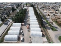 Depremde yıkılan Toptancılar Sitesi, çadırlarda hizmet vermeye başladı