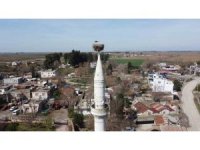 Önce kazazede, sonra depremzede oldu: "Yuvası sapasağlam"