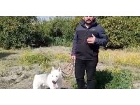 Depremzede konteyner almak isterken 60 bin TL dolandırıldı