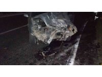 Kardeşleri ayıran kazayla ilgili 1 kişi tutuklandı