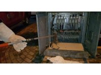 Alanya’da trafoya giren kedi akıma kapılıp telef oldu