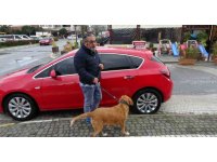 Antalya’da Alman vatandaşı bu kez de köpekle birlikte otomobili çaldı