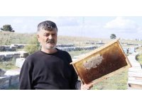 Hırsızlar 700 adet bal peteğini çaldı, arıları telef etti