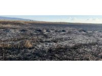 Koruma altındaki Göksu Deltası’nda çıkan yangın kendiliğinden söndü