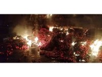 Domates yüklü kamyon yandı