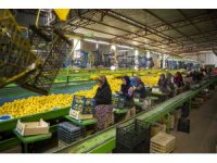 Mersin’den deprem bölgesine 160 ton narenciye ürünü gönderildi