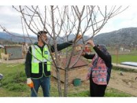 Akseki ve Demre’de budama ve aşılama eğitimi verildi