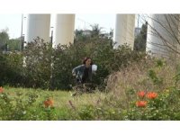 Antalya’da YÖKDİL heyecanı