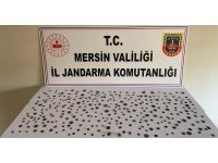 Mersin’de Roma ve Bizans dönemine ait 345 adet tarihi eser ele geçirildi