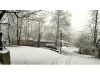 Kadirli ve Andırın ilçesinin yüksek kesimlerine kar yağdı