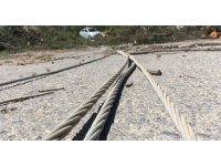 Rüzgarda devrilen asırlık ağaç yolu ulaşıma kapattı