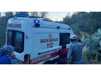 Badem ağacından düşen adam ağır yaralandı