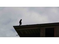 “İntiharkolik” lakaplı Hasan bu sefer Isparta’da polisi alarma geçirdi