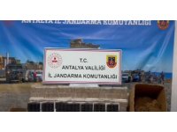 Antalya’da 261 bin 600 adet makaron ele geçirildi