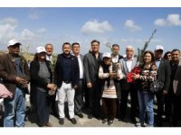 Mersin’de üreticilere 11 bin 100 adet zeytin fidanı desteği sağlandı