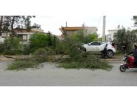 Manavgat’ta kontrolden çıkan otomobil ağaca çarptı: 1 yaralı