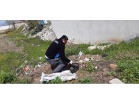 11 yavru köpek ölüme terk edildi: Ağzı bağlı çuvaldan çıktılar