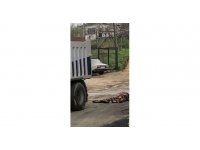 Geri manevra yapan kamyonun ezdiği yaşlı adam hayatını kaybetti