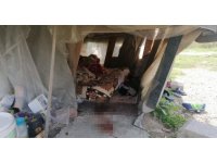 Bıçaklanan hurdacı öldü, yakalanan 2 şüpheli tutuklandı