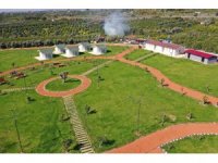 Mezitli’de yeşil alan miktarları artıyor