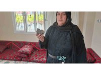Kadınlar çocuklarla ev basıp taş ve sopalarla camları kırdı