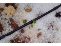 Mersin’de dolu yağışı etkili oldu